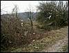 070317_PICT0018.JPG