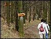 070317_PICT0030.JPG