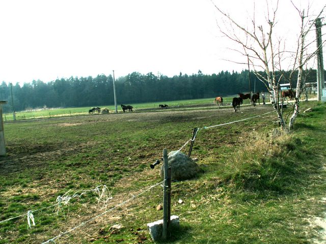 070331_PICT0022.JPG