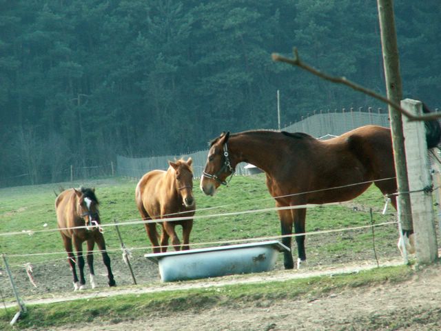 070331_PICT0023.JPG