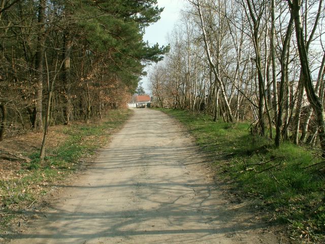 070331_PICT0026.JPG