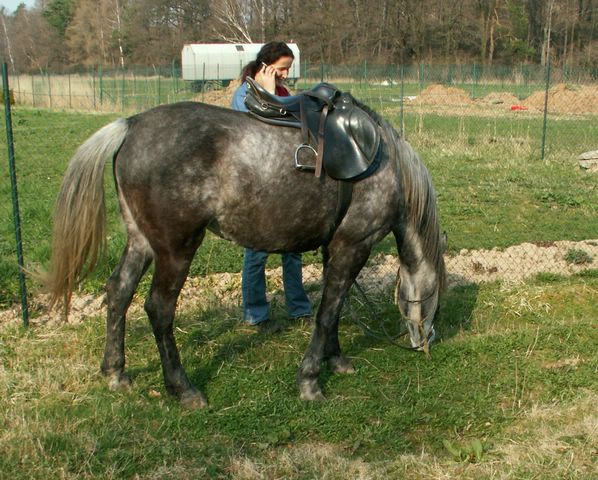 070331_PICT0029.JPG