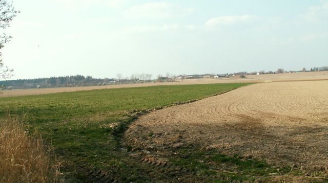 070331_PICT0030.JPG