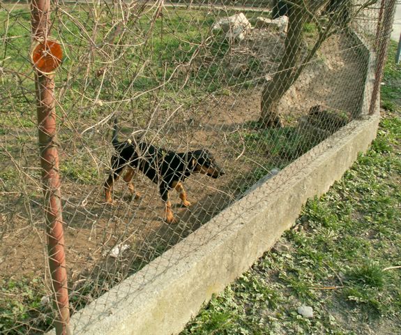 070331_PICT0040.JPG