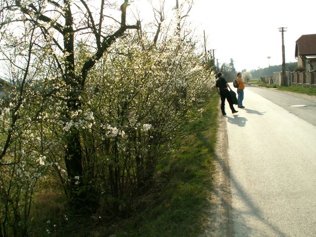 070331_PICT0051.JPG