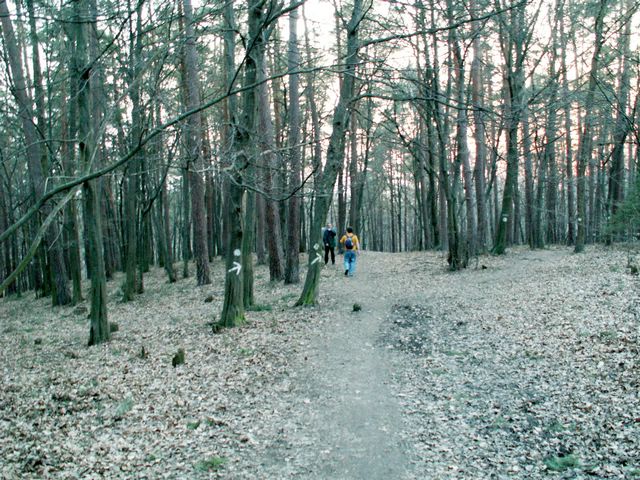 070331_PICT0088.JPG