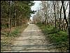 070331_PICT0026.JPG