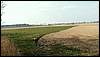 070331_PICT0030.JPG