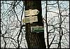 070331_PICT0033.JPG