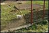 070331_PICT0037.JPG