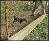 070331_PICT0040.JPG