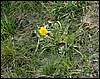 070331_PICT0049.JPG