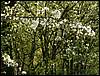 070331_PICT0050.JPG