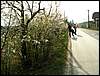 070331_PICT0051.JPG