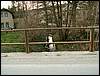 070331_PICT0068.JPG