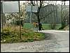 070331_PICT0073.JPG