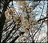 070331_PICT0074.JPG