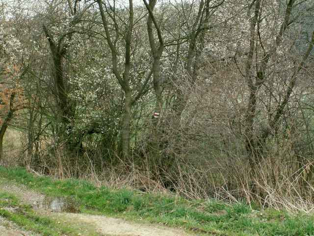 070407_PICT0027.JPG