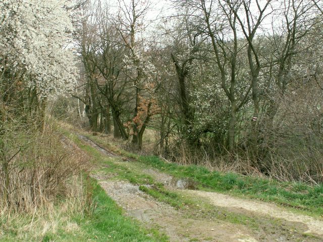 070407_PICT0028.JPG