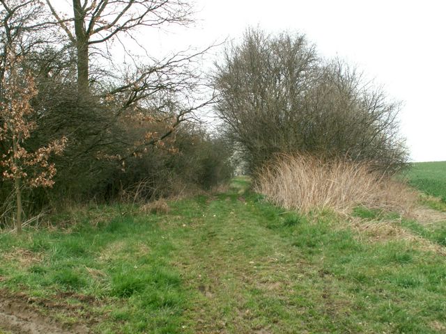 070407_PICT0029.JPG