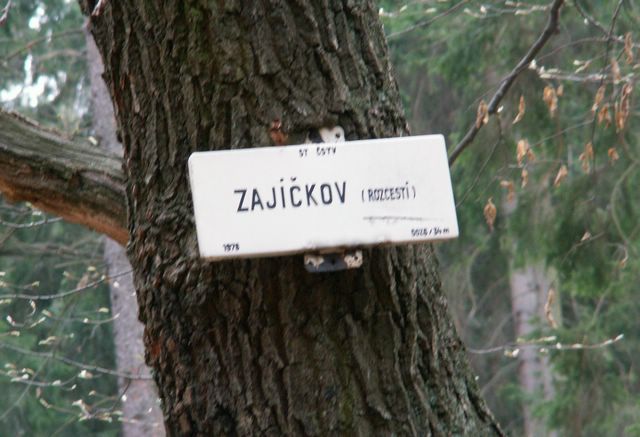 070407_PICT0030.JPG