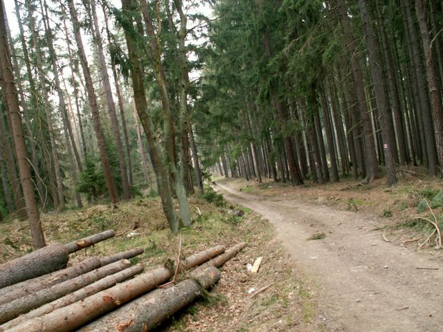070407_PICT0033.JPG