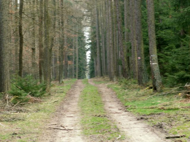 070407_PICT0034.JPG