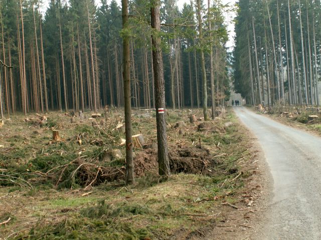 070407_PICT0035.JPG