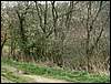 070407_PICT0027.JPG