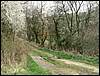 070407_PICT0028.JPG