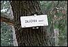 070407_PICT0030.JPG