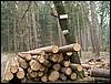 070407_PICT0031.JPG