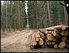 070407_PICT0032.JPG