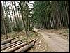 070407_PICT0033.JPG