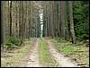 070407_PICT0034.JPG
