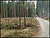 070407_PICT0035.JPG