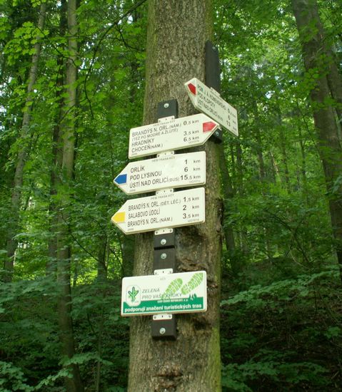 070706_PICT0016.JPG