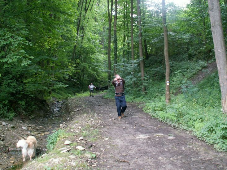 070706_PICT0017.JPG