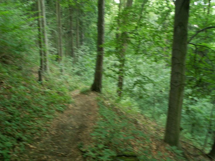 070706_PICT0021.JPG
