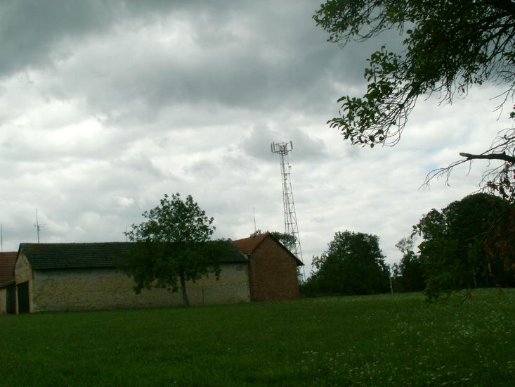 070706_PICT0025.JPG