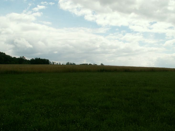 070706_PICT0027.JPG