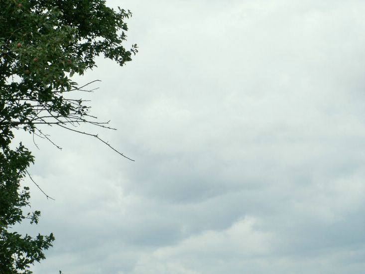 070706_PICT0032.JPG