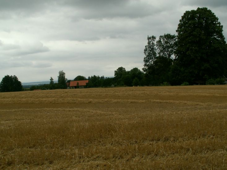 070706_PICT0060.JPG