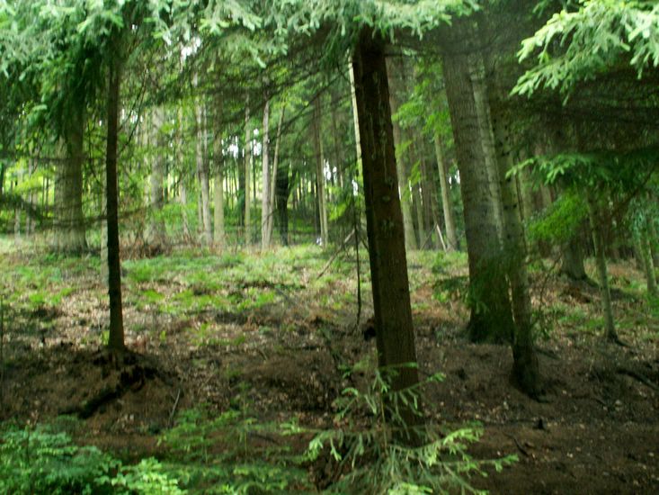 070706_PICT0073.JPG