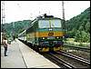 070706_PICT0007w.jpg