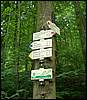 070706_PICT0016.JPG