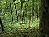 070706_PICT0020.JPG