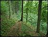 070706_PICT0021.JPG