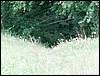 070706_PICT0023.JPG