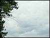 070706_PICT0032.JPG